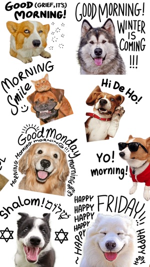 Good Morning Dogs Stickers(圖3)-速報App