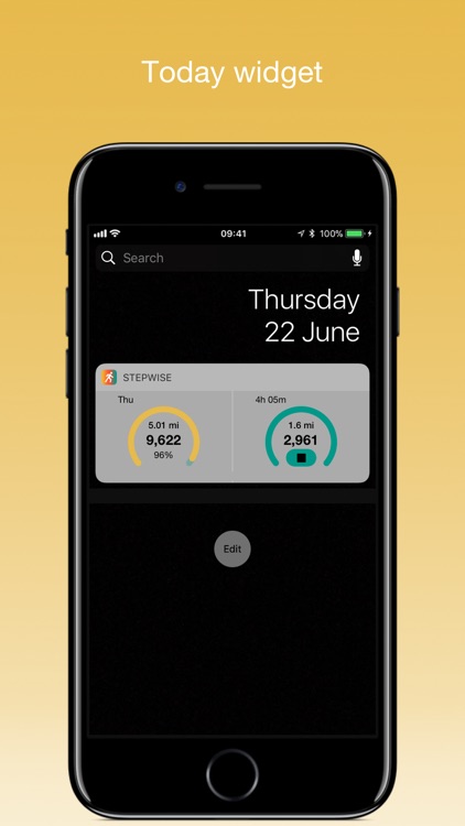Stepwise Pedometer screenshot-4