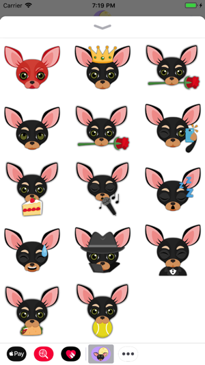 Animated Black Tan Chihuahua(圖1)-速報App