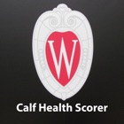 Calf Health Scorer