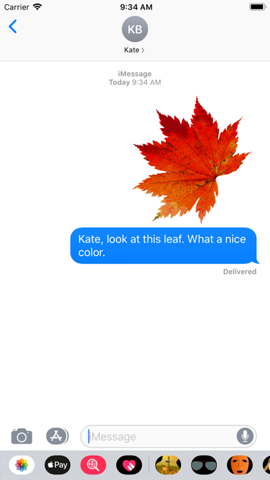 Fall Leaves - The Season! screenshot 2