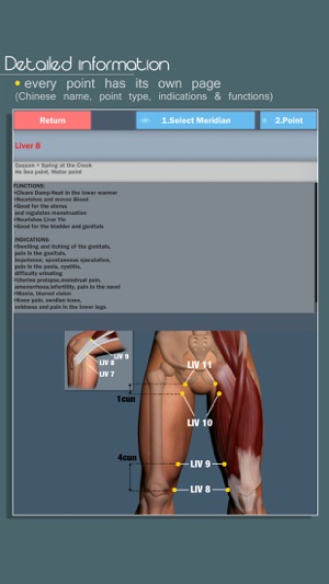 Easy Acupuncture 3D - LITE(圖5)-速報App