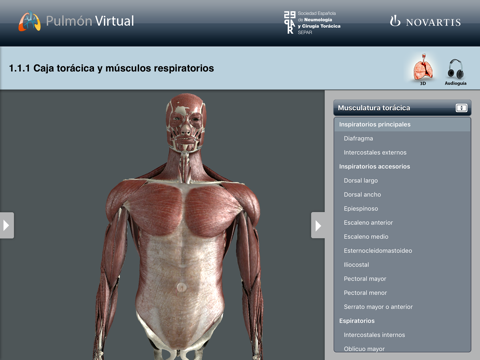 M1: Pulmón Virtual screenshot 2