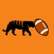 Radio for Clemson Tigers Football Fans