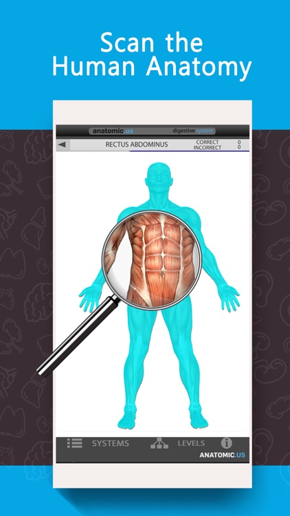 Anatomy Game Anatomicus Lite screenshot-4