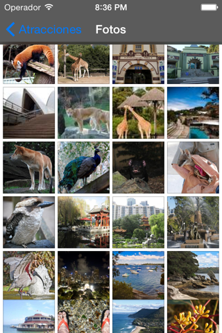 Sydney Travel Guide Offline screenshot 2