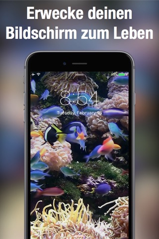 Dynamic wallpapers & themes screenshot 2