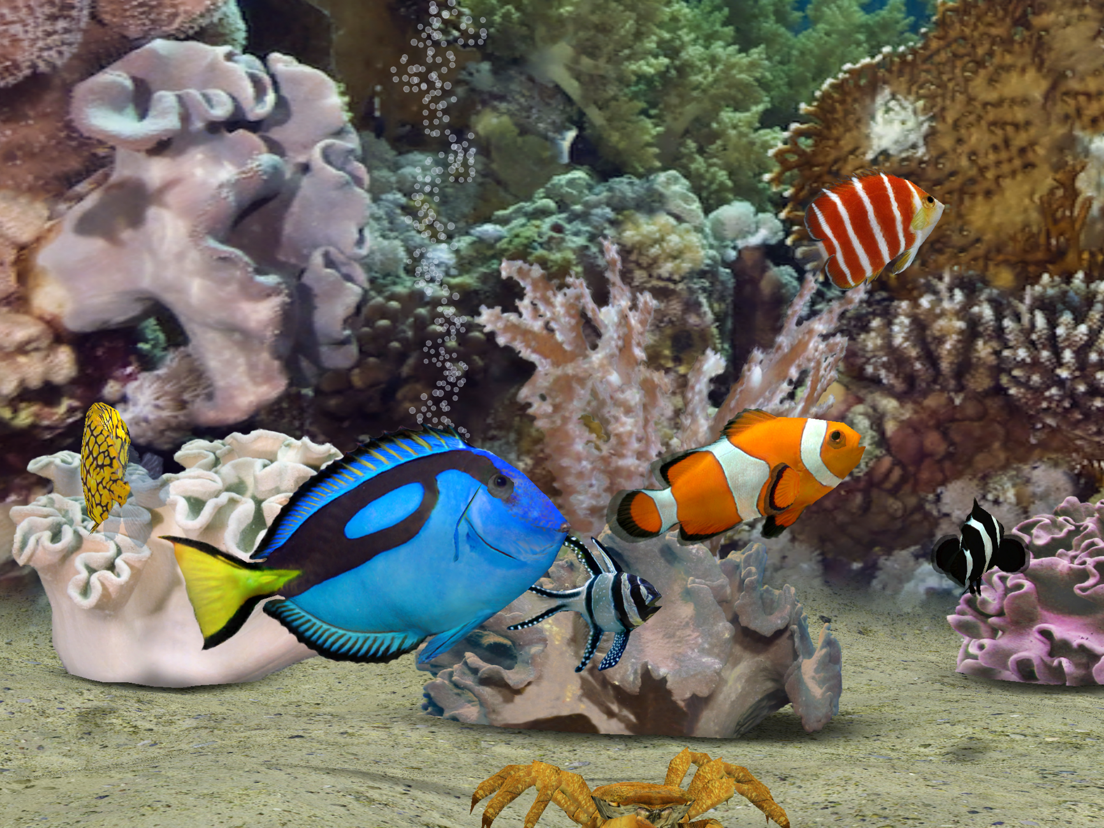 MyReef 3D Aquarium 2 HD - App voor iPhone, iPad en iPod touch - AppWereld