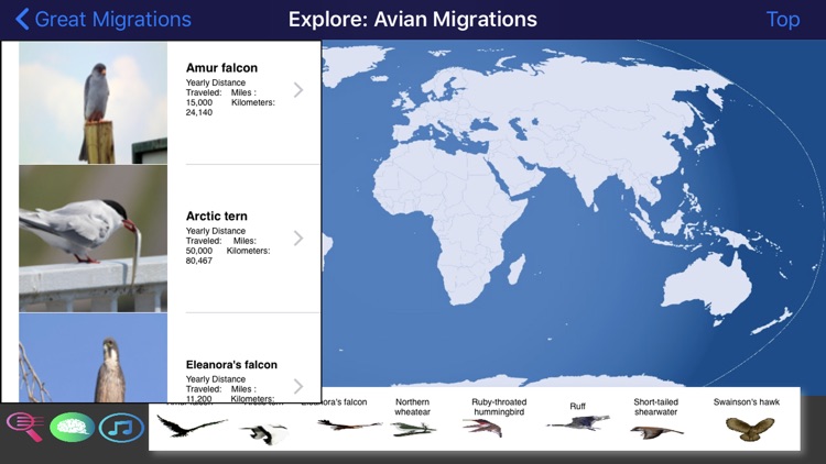 Great Migrations screenshot-4