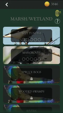 Game screenshot Kea: Create Birding Quiz Games apk