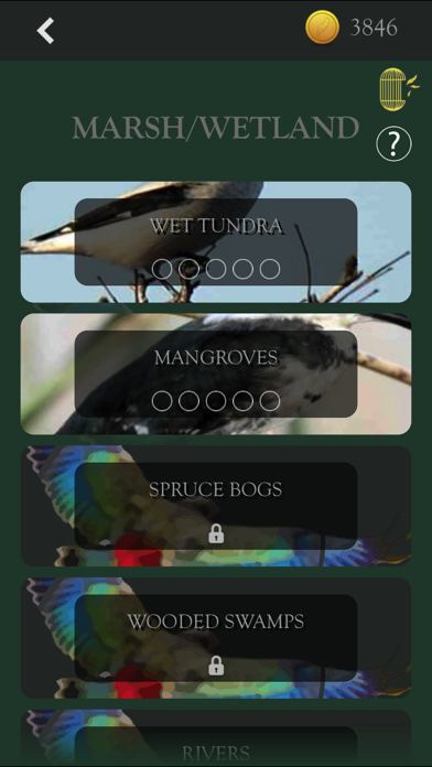 How to cancel & delete Kea: Create Birding Quiz Games from iphone & ipad 2