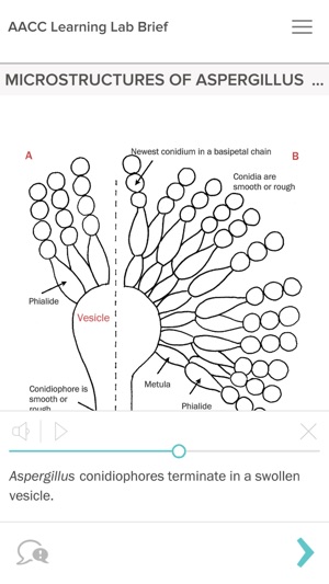 AACC Learning Lab Brief(圖5)-速報App