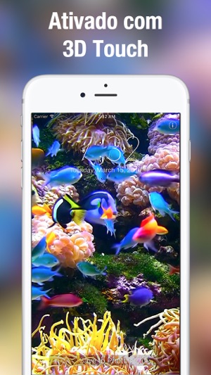 Aquário Papel Parede Animado Na App Store