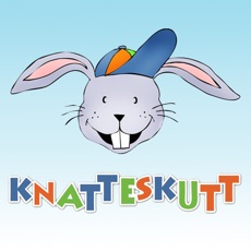 Activities of Knatteskutt Memory