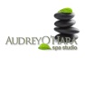 Get Audrey O’Hara Spa Studio for iOS, iPhone, iPad Aso Report