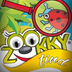 Activities of Zookky Find