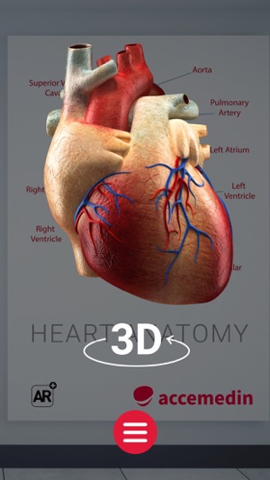 Accemedin AR(圖3)-速報App