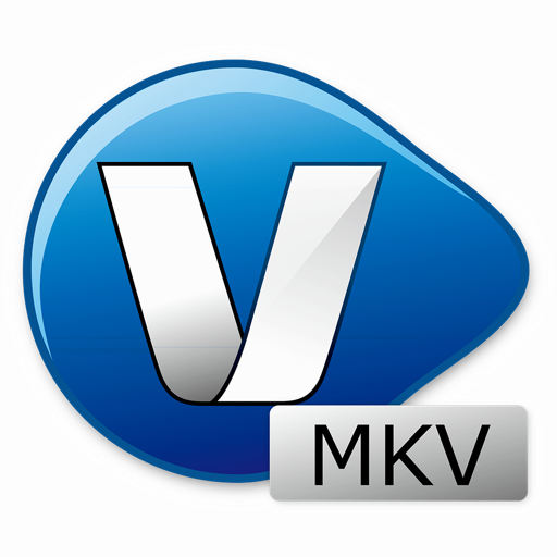 MKV Video Converter