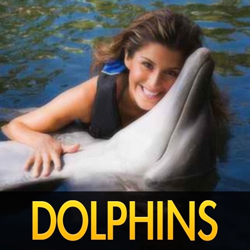 Cute Dolphin Pictures iOS App