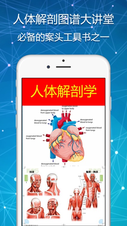 3Dbody解剖学-2018版人体解剖学图谱测试