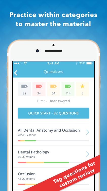 Dental Anatomy Mastery