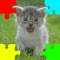 Kittens (Baby Cats) Jigsaw Puzzles is a jigsaw puzzle game about kittens (baby cats)