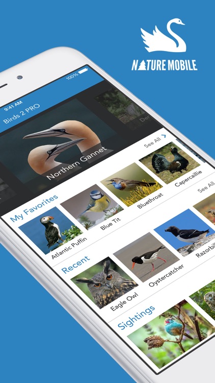 iKnow Birds 2 PRO - Europe