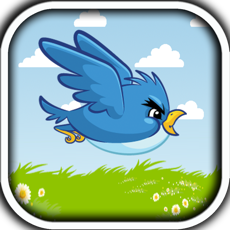 Activities of Tiny Flappy Hungry Bird - A clumsy little bird's endless search for food