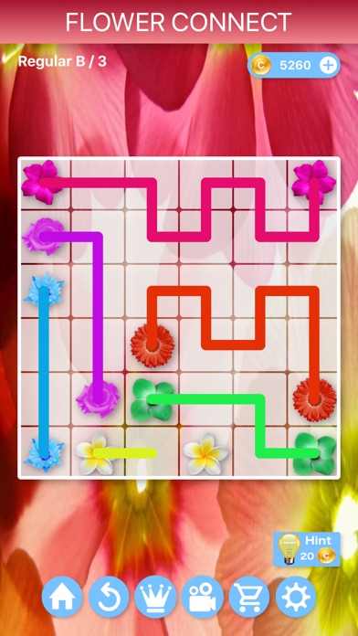 Flower Connect - Puzzles screenshot 3