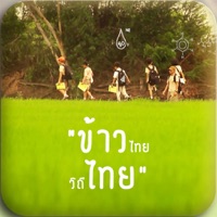 Thai rice RoongAroon