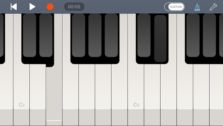 Echo Piano™ Lite screenshot-4