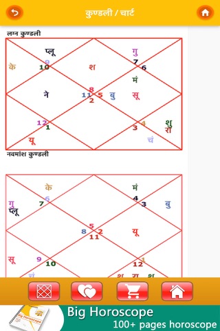 Kundli Software - náhled
