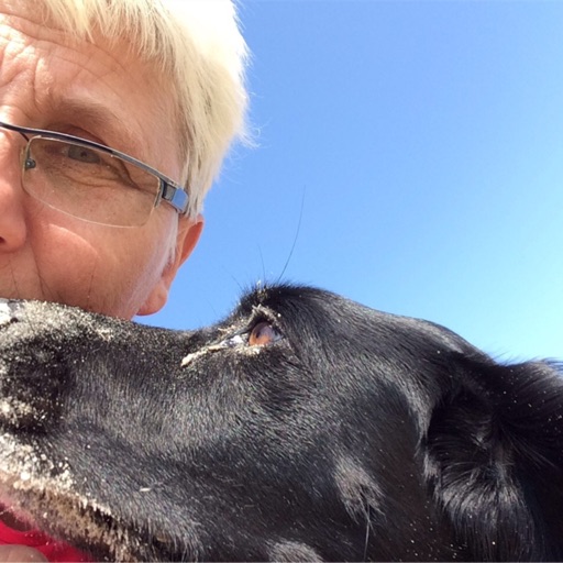 Verein Schäferhunde Stralsund