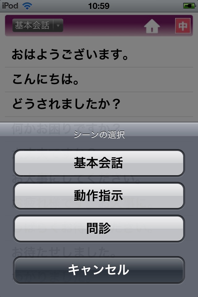 EXLanguageNurse LITE  -  多言語医療 screenshot 3