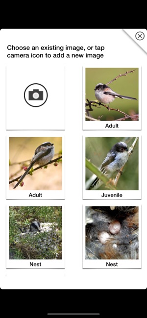 Birds of Britain Pro(圖8)-速報App