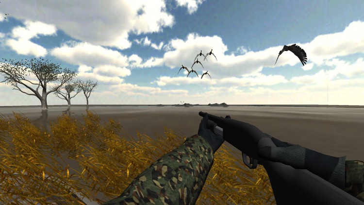 Duck Hunter Pro 3D