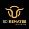 A Boi Remates surge como uma empresa de leilões rurais, especializada em gado de corte, organizados, principalmente, de forma virtual, aperfeiçoando sua organização e procedimentos, com grande quantidade de informações fenotípicas, validadas por um veterinário/zootecnista especialmente capacitado para isso, visando a transparência e segurança nas negociações para compradores e vendedores