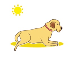 Labrador Retriever Dog Sticker