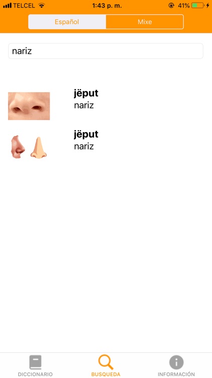Diccionario Traductor Ayuuk screenshot-3
