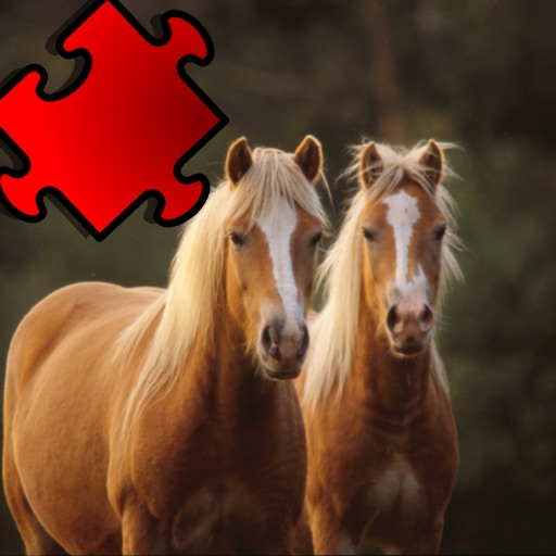 A Horse Puzzle with Haflinger Ponies - Free Learning Game-Fun for Horse Lovers icon