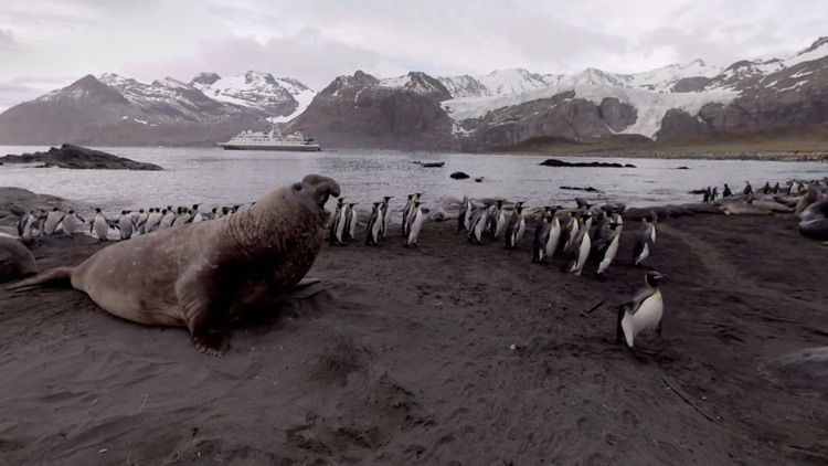 Tellus VR Antarctica