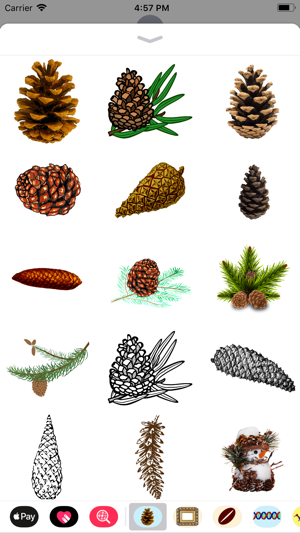 Pine Cone Stickers(圖1)-速報App