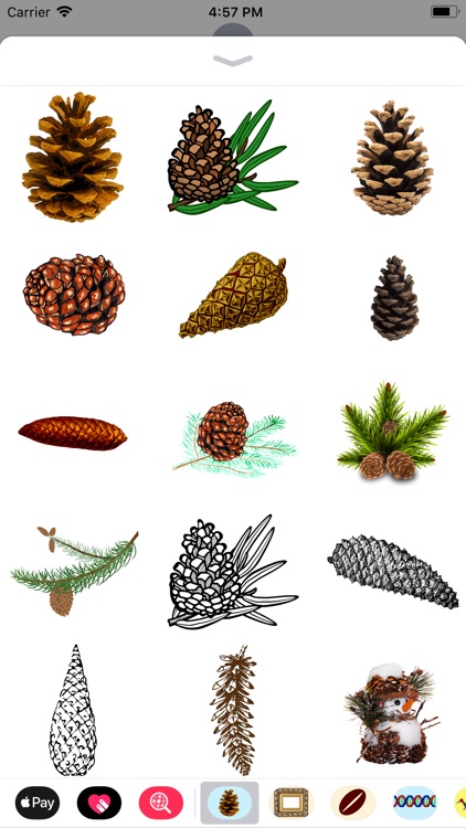 Pine Cone Stickers