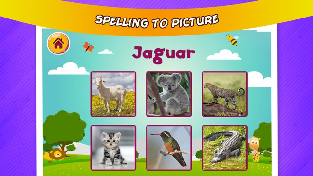 Learning Animal Names(圖4)-速報App