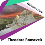 Theodore Roosevelt - N.Park