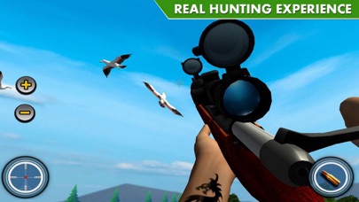 Shot Bird Hunting Experiennce screenshot 3