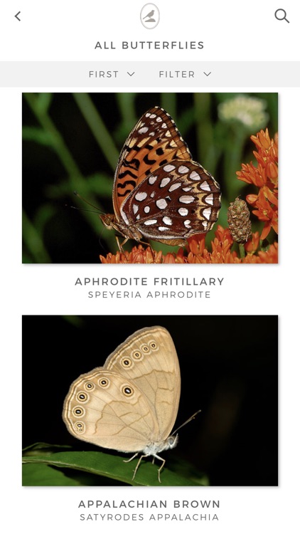 Fieldstone Guide: Butterflies