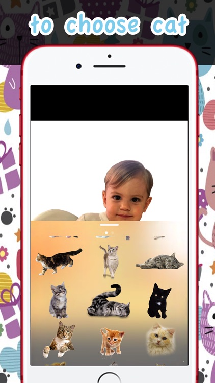 Cats in your photos
