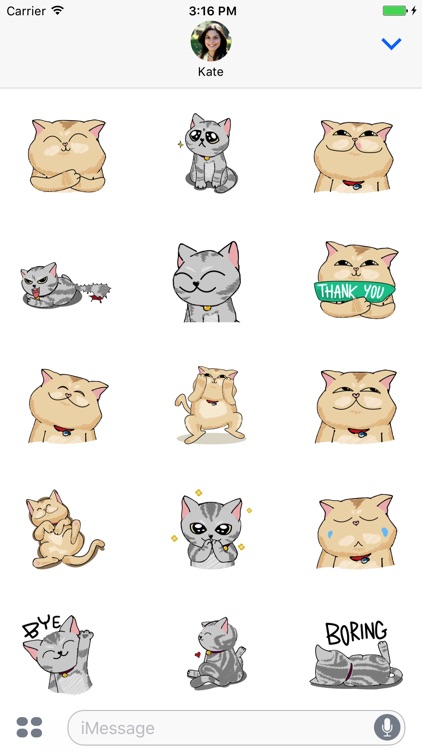 Jiggling Cat Animated Emoji Stickers