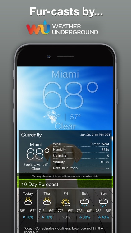 Boo Weather screenshot-3